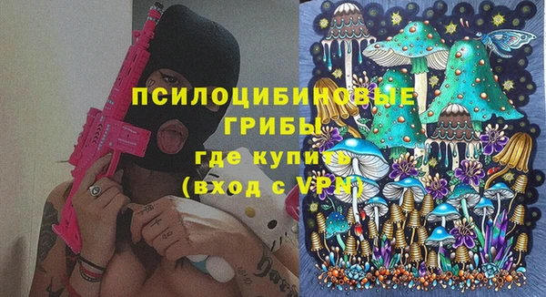 Альфа ПВП Каменка