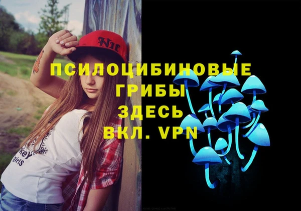 Альфа ПВП Каменка