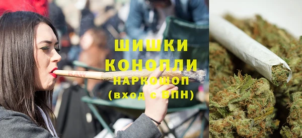 Альфа ПВП Каменка
