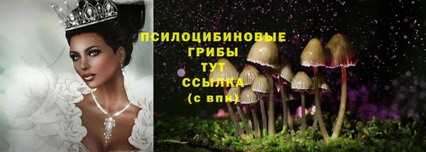 Альфа ПВП Каменка
