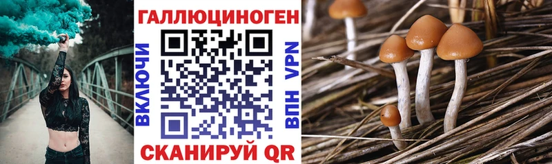 Галлюциногенные грибы мухоморы  где купить наркоту  дарк нет телеграм  Новый Уренгой 