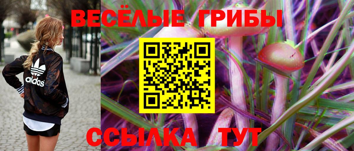 Псилоцибиновые грибы MAGIC MUSHROOMS Новый Уренгой