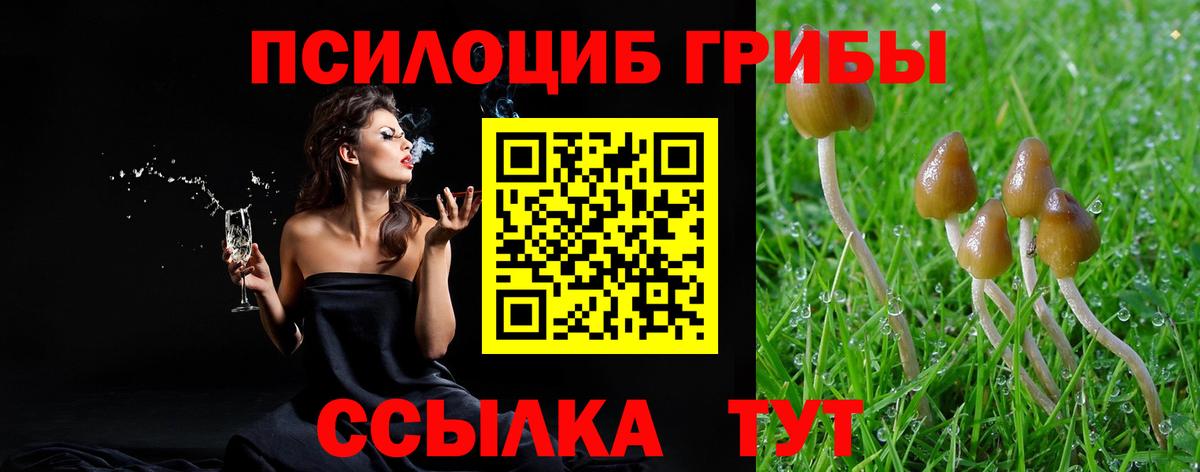 Новый Уренгой  дарнет шоп  Вход с VPN  Галлюциногенные грибы прущие грибы 